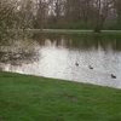 Lea is looking for an Apartment / Studio in Amsterdam