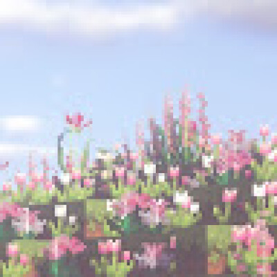 Zahra is looking for a Room / Apartment / Rental Property / Studio / HouseBoat in Amsterdam