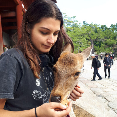 Dalia zoekt een Kamer / Appartement / Huurwoning / Studio / Woonboot in Amsterdam
