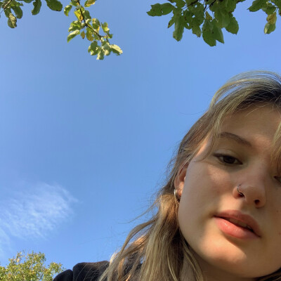 Sammy zoekt een Kamer / Appartement / Studio in Amsterdam