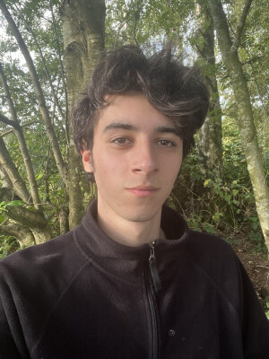 Wolf zoekt een Studio in Amsterdam