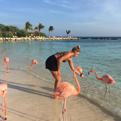 Loes zoekt een Studio in Amsterdam