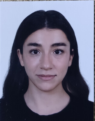 Ipek zoekt een Kamer / Appartement / Huurwoning / Studio in Amsterdam